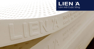 Gửi nệm Liên Á đi Mỹ giá rẻ từ Sài Gòn