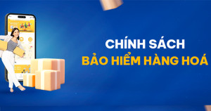 Vận chuyển hàng Mỹ về Việt Nam, Phí bảo hiểm và chính sách đền bù.