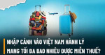 Mang hành lý bao nhiêu để được miễn thuế khi nhập cảnh Việt Nam