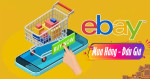 Mua hàng  Mỹ gửi Việt Nam từ Website Ebay
