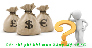 Tổng hợp các chi phí khi mua một mặt hàng từ Amazon, Ebay, Walmart, Jomahop...các website Mỹ ship về Sài Gòn Việt Nam