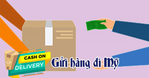 Dịch vụ gửi hàng đi Mỹ từ TP.HCM [Bảng giá 2022]