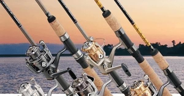 Dịch vụ ship cần câu cá và máy câu cá chuyên dụng các loại từ Mỹ về Việt Nam