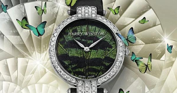 Dịch vụ ship Đồng Hồ chính hãng từ Úc về Việt Nam