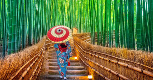 Dịch vụ xuát khẩu - vận chuyển hàng hóa từ nhật bản về Việt Nam