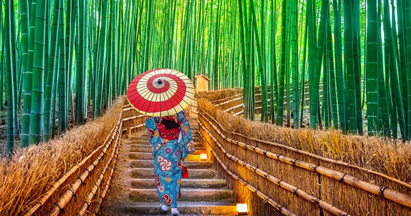 Dịch vụ xuát khẩu - vận chuyển hàng hóa từ nhật bản về Việt Nam