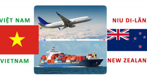Dịch vụ hải quan nhập khẩu hàng hóa từ Newzeland về Việt Nam