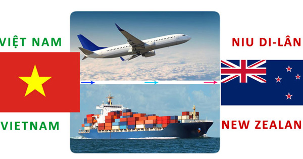 Dịch vụ hải quan nhập khẩu hàng hóa từ Newzeland về Việt Nam
