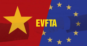 Dịch vụ hướng dẫn làm chứng nhận xuất xứ EVFTA