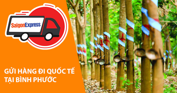 Dịch vụ gửi hàng từ Bình Phước đi Mỹ - Úc - Canada- Hàn Quốc - Nhật Bản - Châu Âu