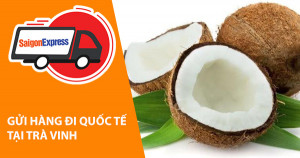 Dịch vụ gửi hàng  từ Trà Vinh đi Mỹ - Canada - Hàn Quốc - Nhật Bản - Châu Âu