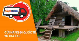 Dịch vụ gửi hàng  từ Gia Lai  đi Mỹ -Úc - Canada - Hàn - Nhật - Châu Âu