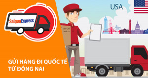 Dịch vụ gửi hàng từ Đồng Nai đi Mỹ - Úc - Canada - Hàn - Nhật - Châu Âu