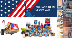 Dịch vụ gửi hàng từ Pennsylvania về Sài Gòn  giá rẻ