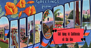 Dịch vụ vận chuyển hàng hóa  từ bang Cali Mỹ về Sài Gòn giá rẻ