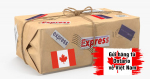 Gửi hàng từ bang Ontario Canada về Sài Gòn
