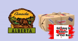 Gửi hàng từ bang Alberta Canada về Sài Gòn giá rẻ