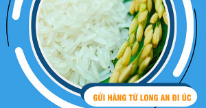 Dịch vụ gửi hàng đi Úc tại Long An