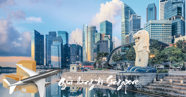 Dịch vụ gửi hàng đi Singapore từ Sài Gòn