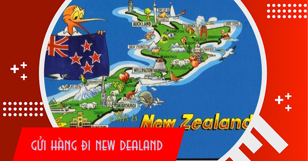 Dịch vụ vận chuyển hàng từ Việt Nam đi New dealand giá rẻ