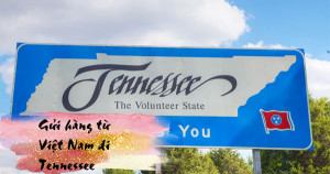 Dịch vụ gửi hàng từ Việt Nam đi Tennessee  Mỹ