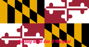 Dịch vụ ship hàng từ Sài Gòn đi bang Maryland(Mỹ)