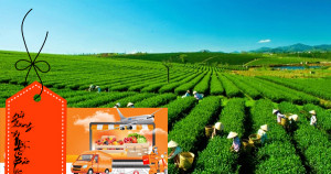 Gửi hàng đi Mỹ từ Bảo Lộc giá rẻ