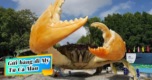 Gửi hàng đi Mỹ tại Cà Mau giá rẻ