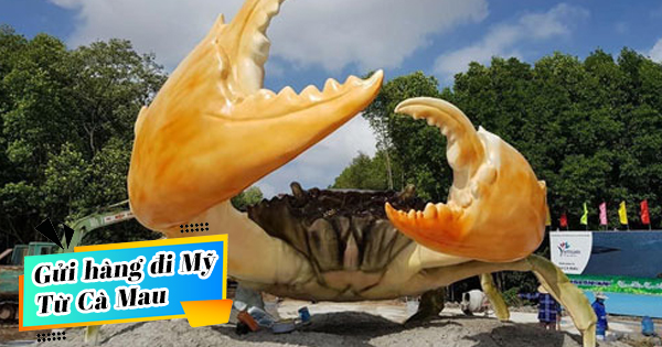 Gửi hàng đi Mỹ tại Cà Mau giá rẻ