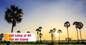 Gửi hàng đi Mỹ từ An Giang giá rẻ