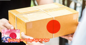 Gửi hàng từ Đồng Nai đi Nhật Bản