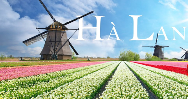 Dịch vụ gửi hàng từ Sài Gòn đi Hà Lan giá rẻ