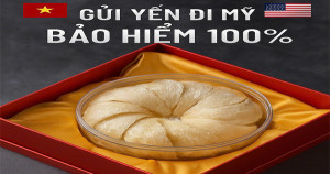 Dịch vụ nhận gửi tổ yến, yến sào đi Mỹ bao thuế uy tín bảo hiểm trọn gói Dịch vụ nhận gửi tổ yến, yến sào đi Mỹ bao thuế uy tín bảo hiểm trọn gói